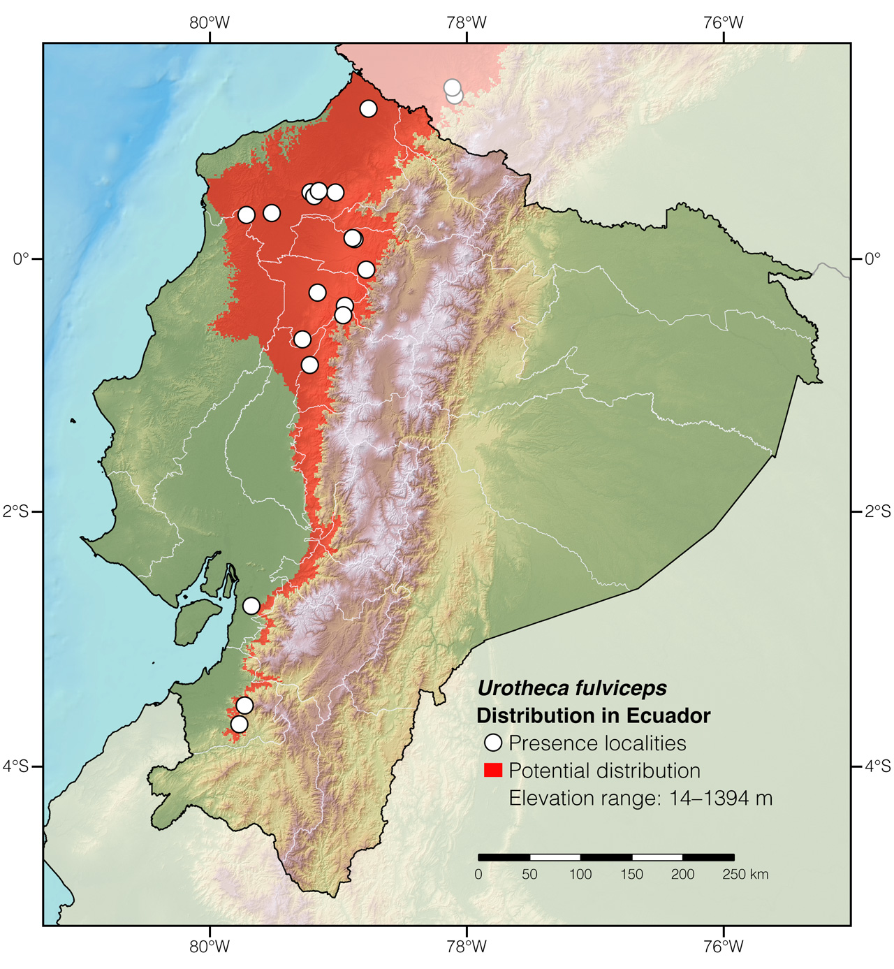 Distribution of Urotheca fulviceps in Ecuador