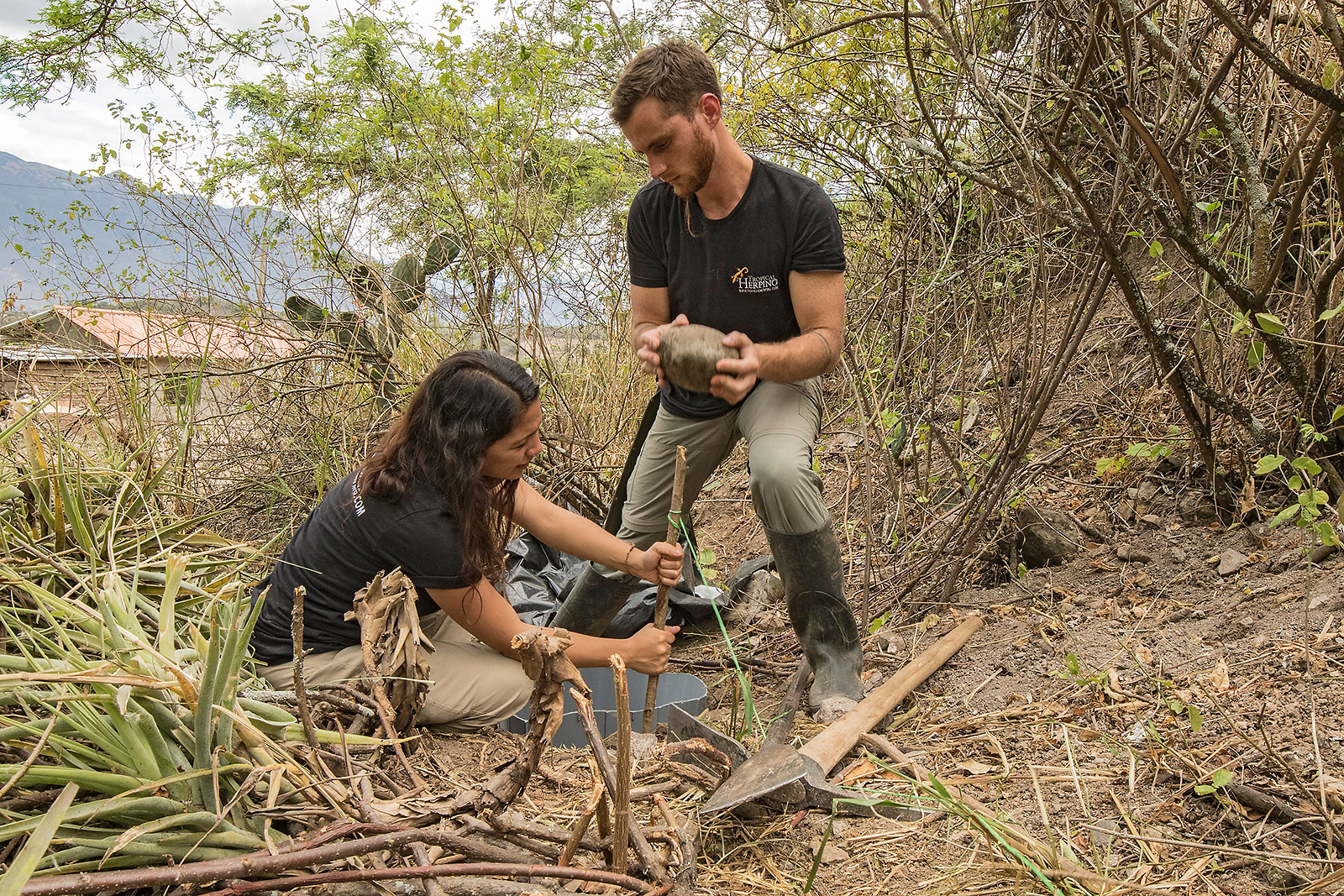 Image showing biologists Jose Vieira and Amanda Quezada setting up pitfall traps in Santa Isabel