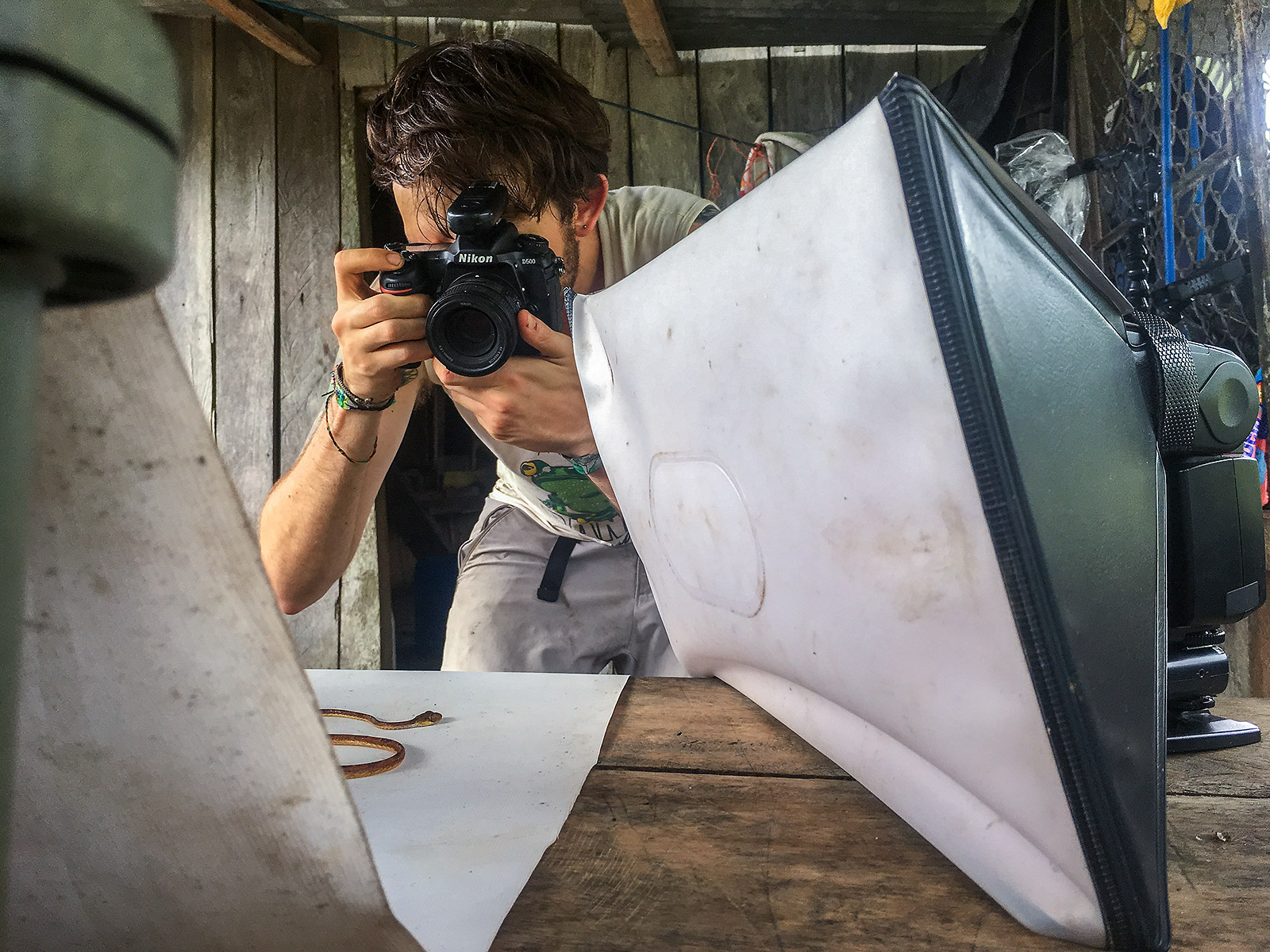 Biologist Sebastián Di Doménico photographing a Chocoan Blunt-headed Tree-Snake