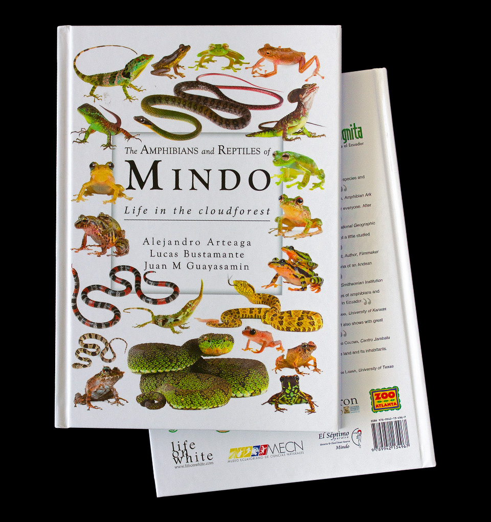 Amphibians and Reptiles of Mindo book